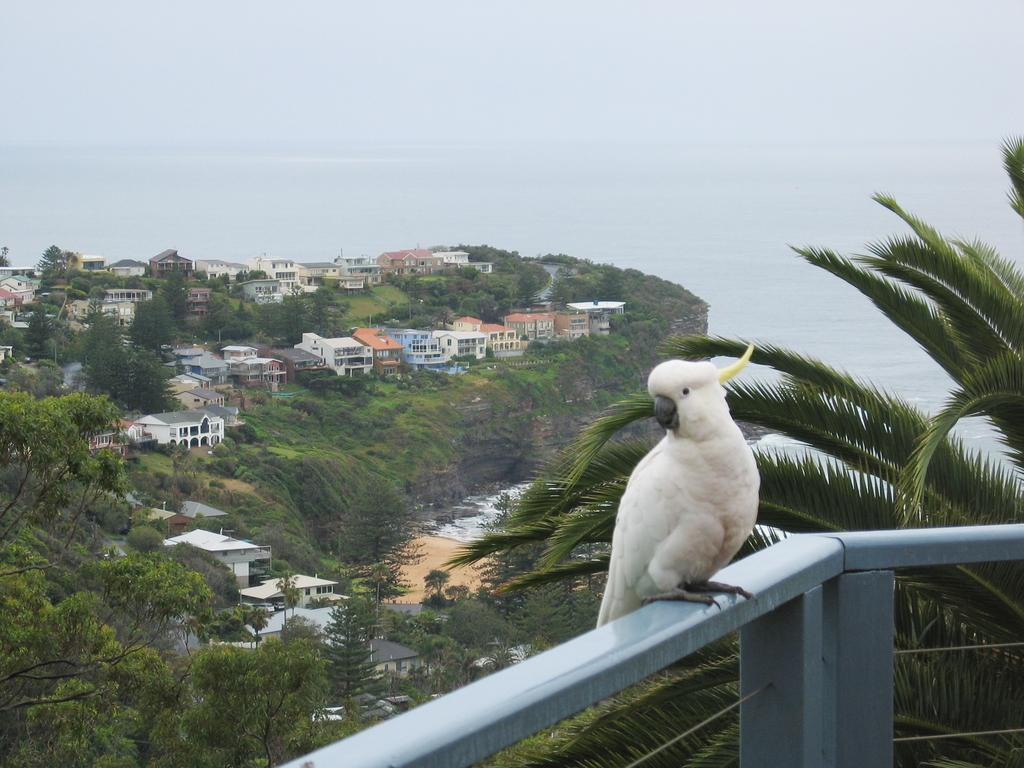 Avalon Horizons Apartment Bilgola Exterior foto
